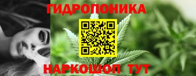 дживик Владимир
