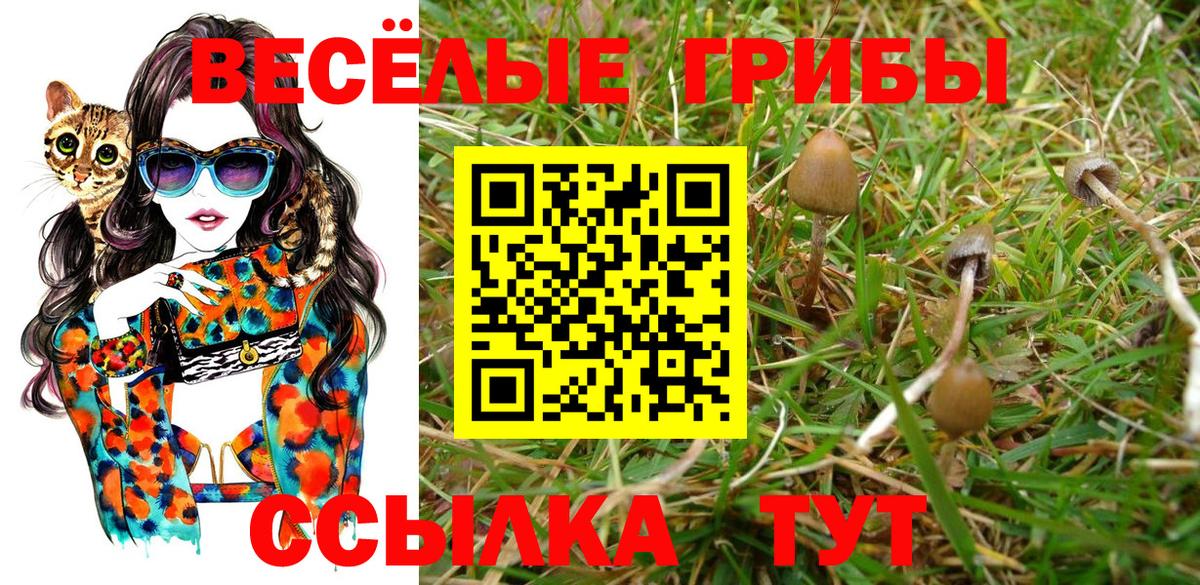 Волжск  Галлюциногенные грибы GOLDEN TEACHER  Вход с VPN 